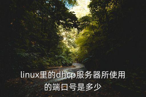 linux里的dhcp服務(wù)器所使用的端口號(hào)是多少