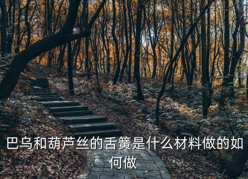 巴烏和葫蘆絲的舌簧是什么材料做的如何做