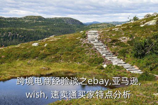 跨境電商經驗談之ebay,亞馬遜,wish, 速賣通買家特點分析