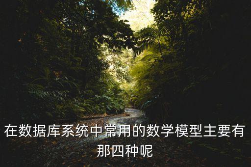 在數(shù)據(jù)庫系統(tǒng)中常用的數(shù)學模型主要有那四種呢