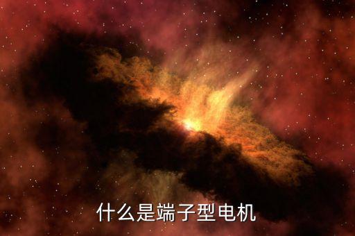 什么是端子型電機(jī)