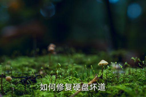 硬盤壞道怎么修復(fù)，硬盤壞道怎么修復(fù)詳細(xì)圖解