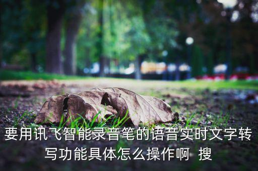 要用訊飛智能錄音筆的語音實時文字轉(zhuǎn)寫功能具體怎么操作啊  搜