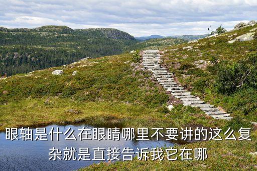 眼軸是什么在眼睛哪里不要講的這么復(fù)雜就是直接告訴我它在哪