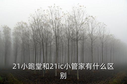 21小跑堂和21ic小管家有什么區(qū)別