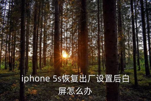 iphone 5s恢復(fù)出廠設(shè)置后白屏怎么辦