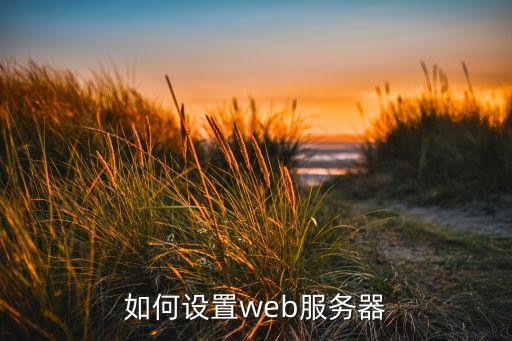 如何設(shè)置web服務(wù)器
