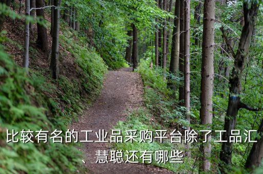比較有名的工業(yè)品采購平臺除了工品匯、慧聰還有哪些