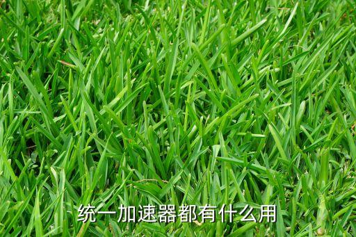 統(tǒng)一加速器都有什么用