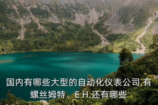 國內(nèi)有哪些大型的自動化儀表公司,有螺絲姆特、E H.還有哪些