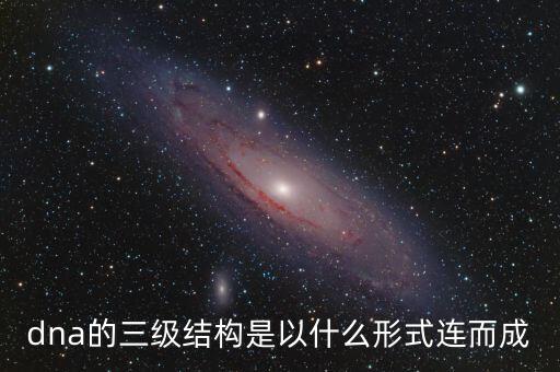dna的三級結構是以什么形式連而成
