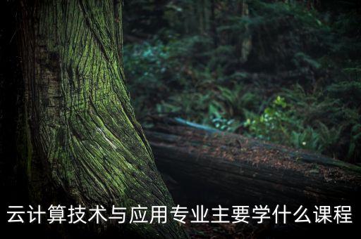 云計(jì)算技術(shù)與應(yīng)用專業(yè)主要學(xué)什么課程