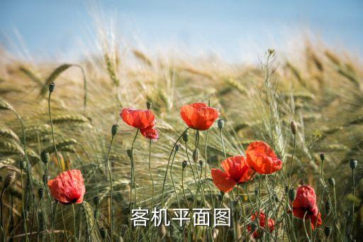 南航飛機(jī)圖片，航空飛機(jī)圖是什么樣