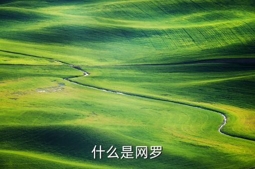 什么是網(wǎng)羅