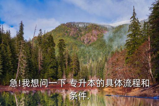 急!我想問一下 專升本的具體流程和條件.