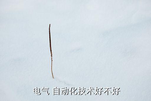 楚雄電氣工程自動(dòng)化,沈陽(yáng)農(nóng)業(yè)大學(xué)電氣工程及其自動(dòng)化專(zhuān)業(yè)