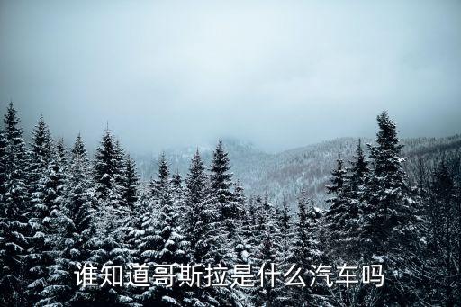 誰(shuí)知道哥斯拉是什么汽車(chē)嗎