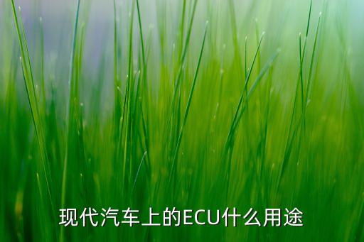 發(fā)動(dòng)機(jī)ecu，什么是發(fā)動(dòng)機(jī)ECU請(qǐng)故意網(wǎng)解答