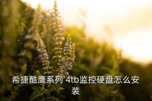 希捷酷鷹系列 4tb監(jiān)控硬盤怎么安裝