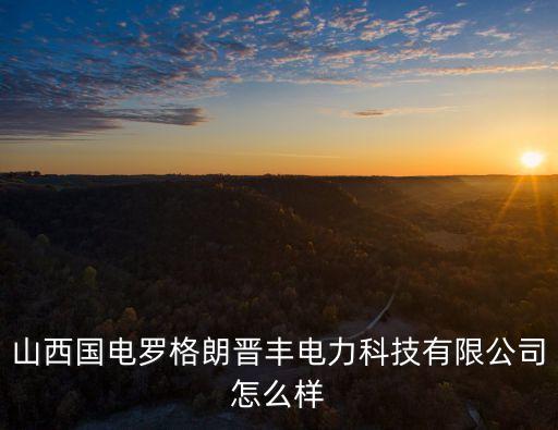 山西國(guó)電羅格朗晉豐電力科技有限公司怎么樣
