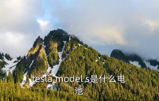 tesla model s是什么電池