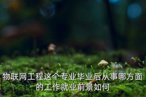 物聯(lián)網(wǎng)工程這個(gè)專業(yè)畢業(yè)后從事哪方面的工作就業(yè)前景如何