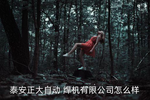 泰安正大自動(dòng) 焊機(jī)有限公司怎么樣