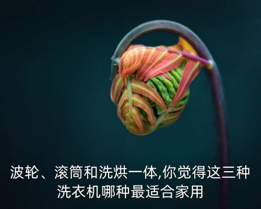 波輪、滾筒和洗烘一體,你覺得這三種洗衣機(jī)哪種最適合家用