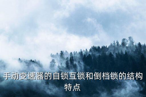 手動變速器的自鎖互鎖和倒檔鎖的結(jié)構(gòu)特點