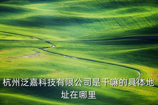 杭州泛嘉科技有限公司是干嘛的具體地址在哪里