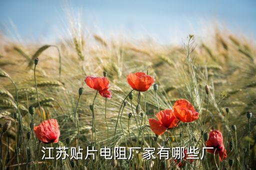 青州儀表自動(dòng)化公司有哪些,江蘇貼片電阻廠家有哪些廠家?
