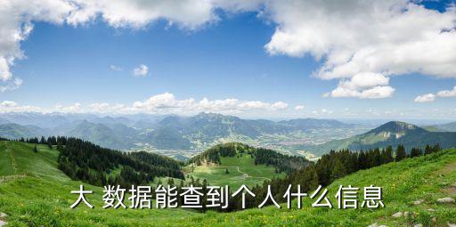 大 數(shù)據(jù)能查到個(gè)人什么信息