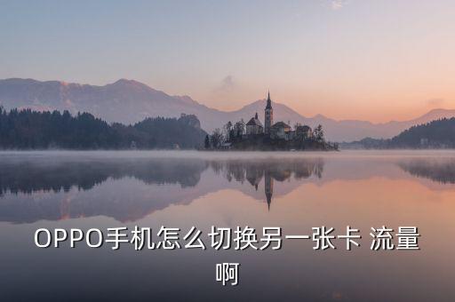 oppo的數(shù)據(jù)流量該移動怎么該