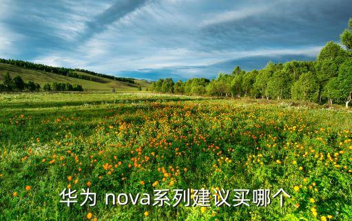 nova,nova是怎么一回事?