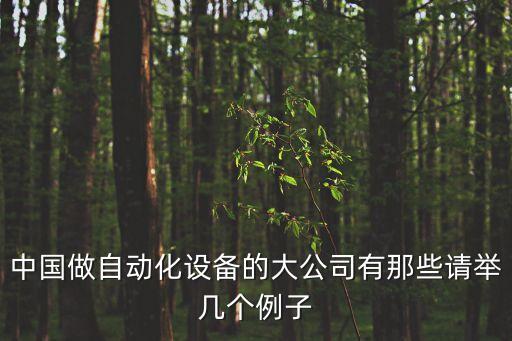 中國做自動(dòng)化設(shè)備的大公司有那些請舉幾個(gè)例子