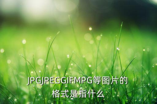JPGJPEGGIFMPG等圖片的格式是指什么