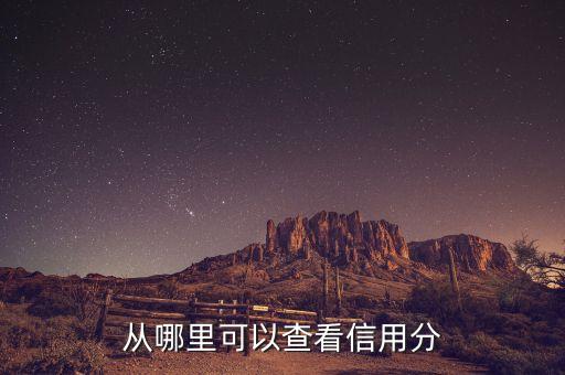 從哪里可以查看信用分