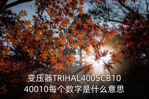 斯特勞哈爾數(shù)，變壓器TRIHAL400SCB1040010每個(gè)數(shù)字是什么意思