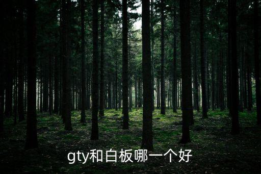 gty和白板哪一個(gè)好