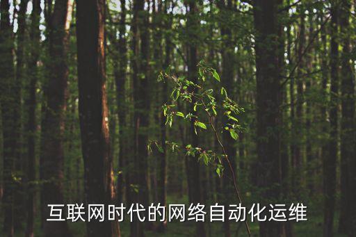 互聯(lián)網(wǎng)時代的網(wǎng)絡(luò)自動化運維