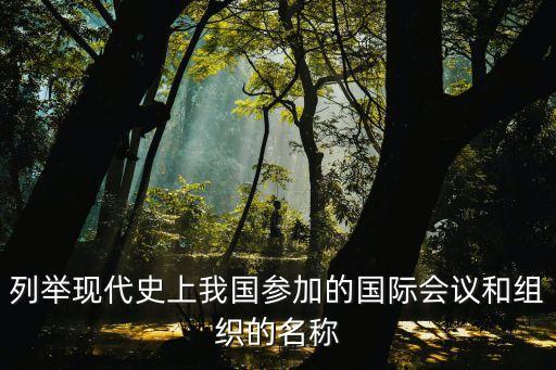 列舉現(xiàn)代史上我國(guó)參加的國(guó)際會(huì)議和組織的名稱