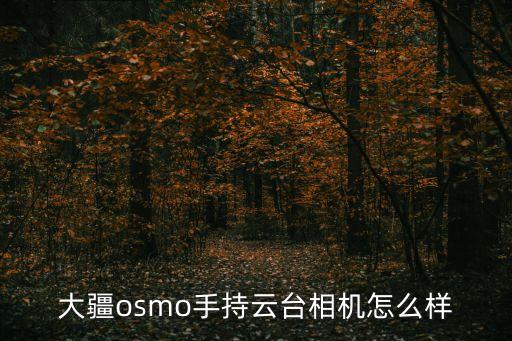 大疆osmo手持云臺(tái)相機(jī)怎么樣