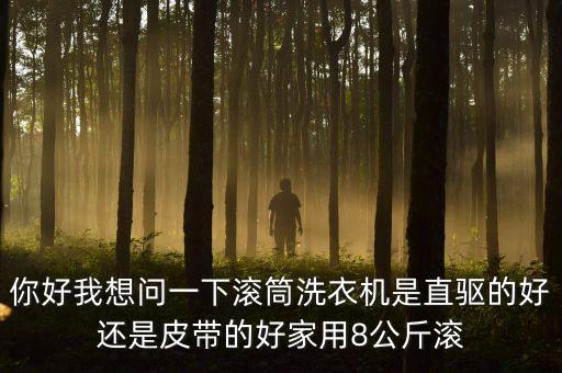 你好我想問一下滾筒洗衣機是直驅(qū)的好還是皮帶的好家用8公斤滾