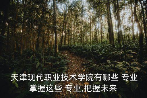  天津現(xiàn)代職業(yè)技術(shù)學(xué)院有哪些 專業(yè)掌握這些 專業(yè),把握未來