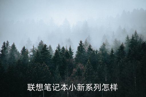 聯(lián)想小新怎么樣，聯(lián)想小新系列電腦怎么樣好不好用