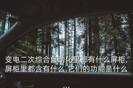 變電二次綜合自動化里都有什么屏柜,屏柜里都含有什么,它們的功能是什么...