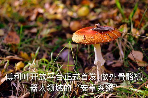 傅利葉開放平臺正式首發(fā):做外骨骼機(jī)器人領(lǐng)域的“安卓系統(tǒng)”