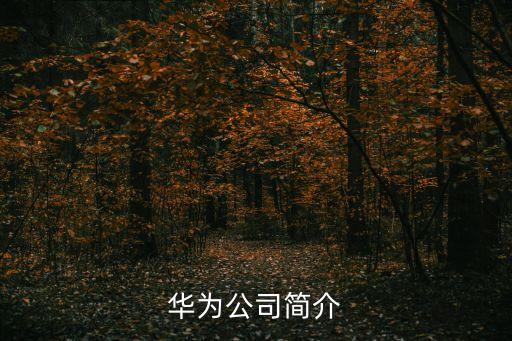 華為公司簡(jiǎn)介