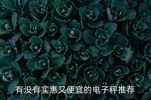 小電子秤，有沒有實(shí)惠又便宜的電子秤推薦