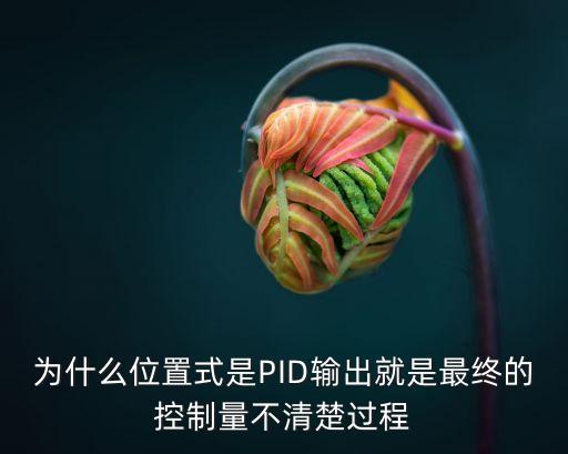 為什么位置式是PID輸出就是最終的控制量不清楚過程